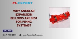 gimbal expansion bellows