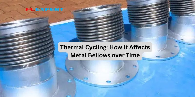 Diesel exhaust expansion joints manufacturer